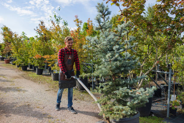 Leaf Removal in Parkersburg, IA